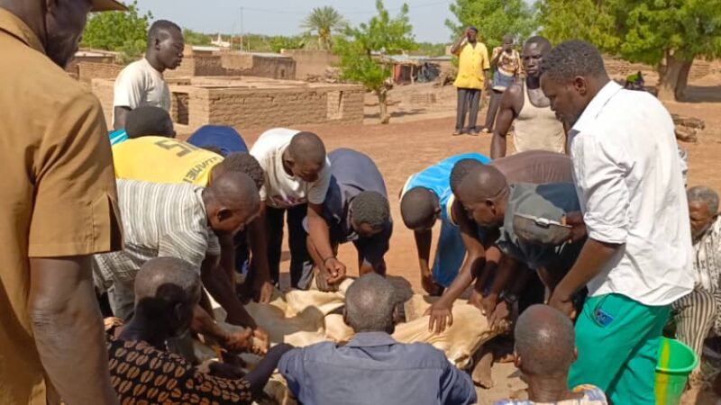 Journée des coutumes et traditions : Une célébration effective à Tougan