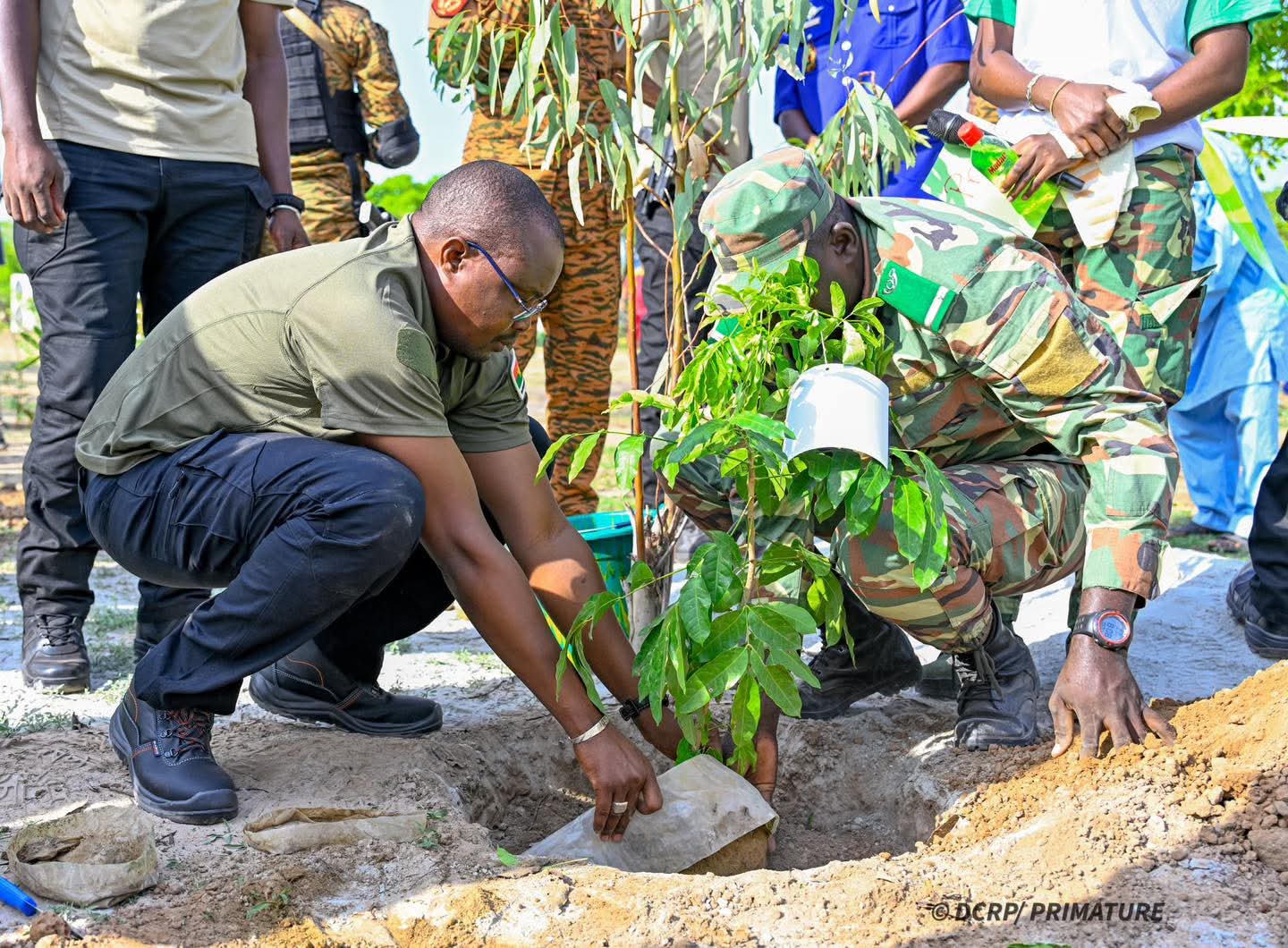 Journée nationale de l&rsquo;arbre: Le Premier ministre lance l&rsquo;heure patriotique à Guiba