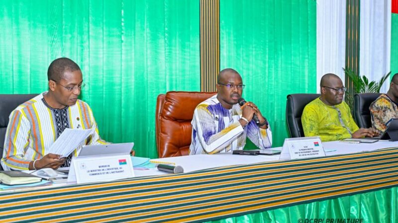 Burkina/Sociétés d&rsquo;État : la gouvernance de 24 entreprises en examen