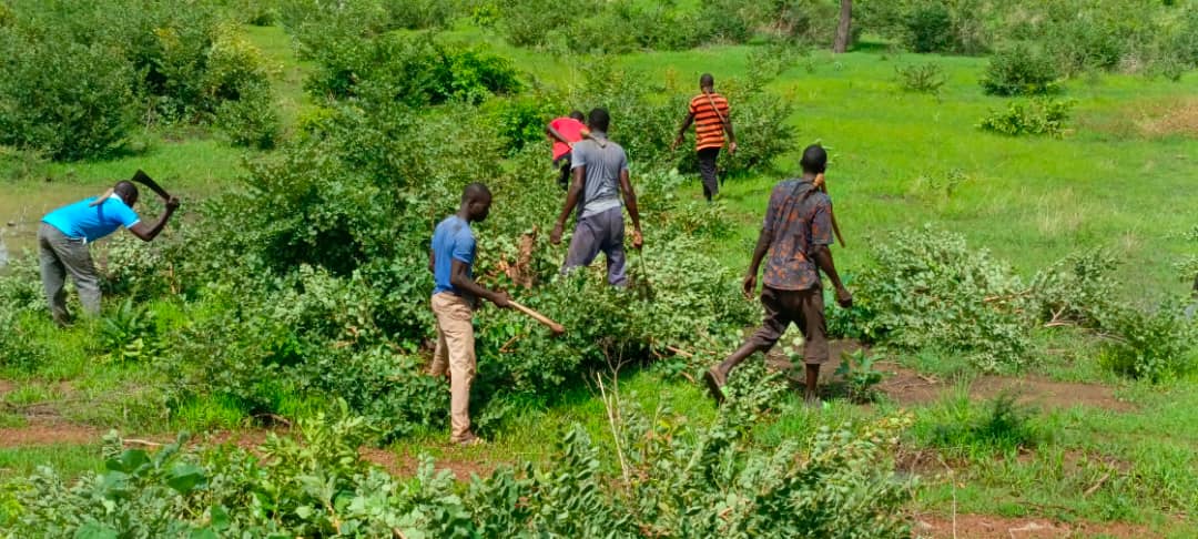Route Tougan-Toma : Les bordures nettoyées pour plus de visibilité