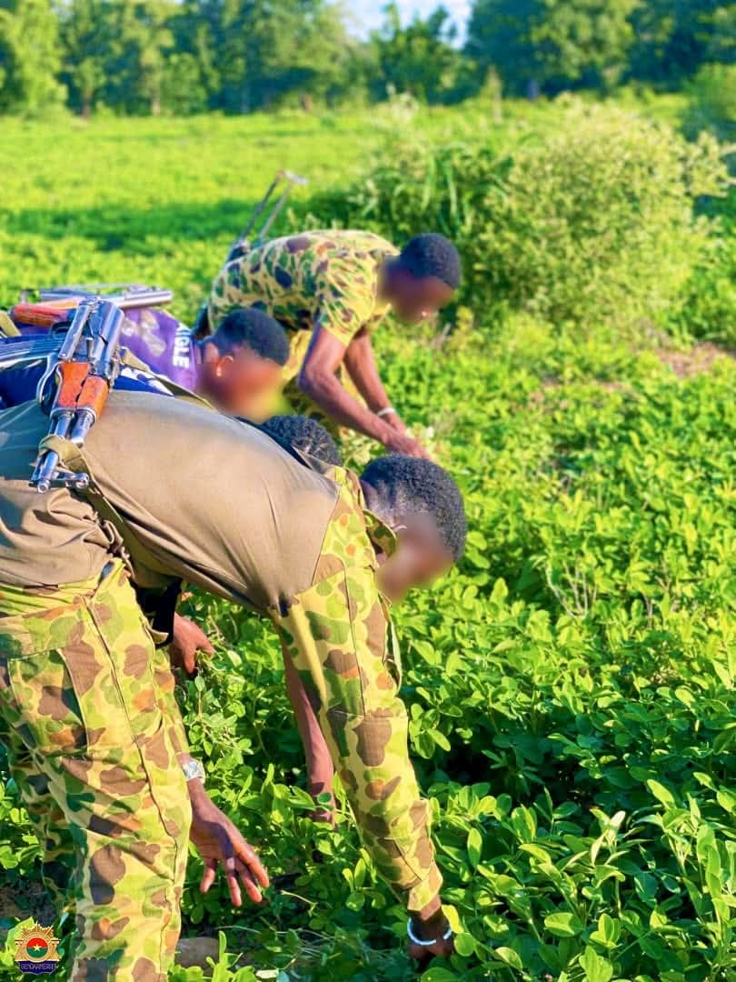 Reconquête du territoire et souveraineté alimentaire : l&rsquo;ESRI II de Bondokuy emblave 43 hectares pour renforcer la résilience nationale 