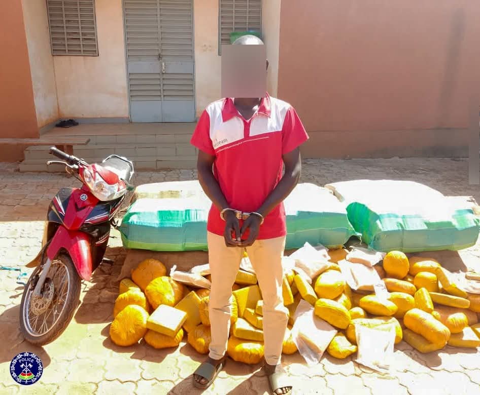 Lutte contre le trafic de stupéfiants : La Police Nationale saisit plus de 500 kg de chanvre indien à Kaya et Ouagadougou.   