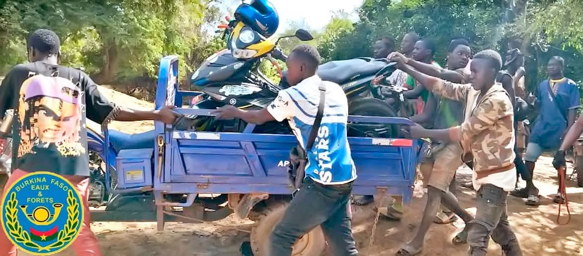 Sécurisation des massifs forestiers et Reconquête du territoire national : la forêt classée (FC) de Baporo vidée de ses occupants illégaux !