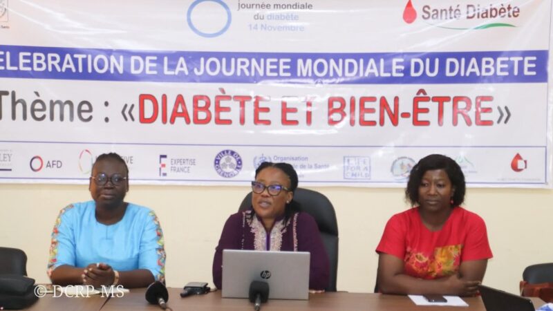 Lutte contre le diabète :les médias appelés à renforcer la sensibilisation