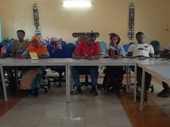 Redynamisation de la Culture : les acteurs du Sourou ou en formation