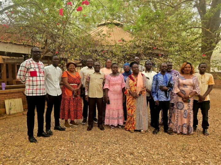 Financement de la santé sexuelle et reproductive: le REMAPSEN-Burkina  plaide pour des solutions locales