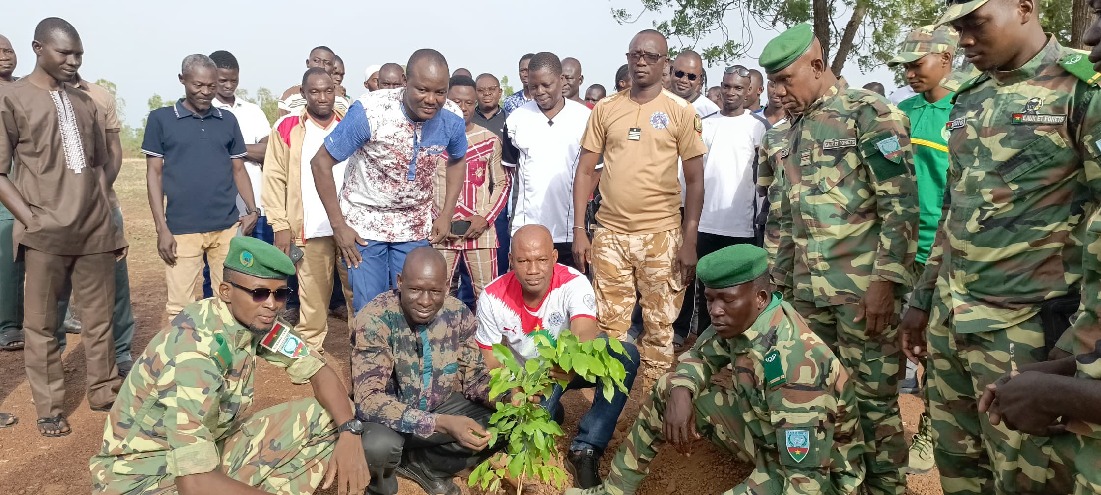 Journée Nationale de l’Arbre au Sourou : Tougan se mobilise pour un reboisement citoyen 